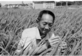 痛哀袁隆平院士于13點07分逝世！